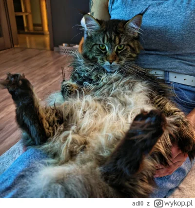 adi0 - @Gh0st: prawie ( ͡~ ͜ʖ ͡°) MCO