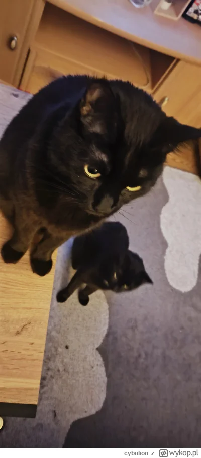 cybulion - No, coraz częściej mi sie zdarza grac na zastepstwie za naszego opa. @slab...