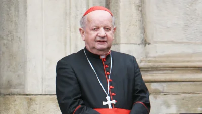 M4rcinS - >Kardynał 

@RicoElectrico: kręcisz coś, bo kardynał wygląda tak: