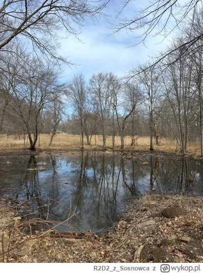 R2D2zSosnowca - @R2D2zSosnowca marcowe