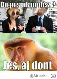 Afrobiker - @fsfdjf dobre ( ͡°( ͡° ͜ʖ( ͡° ͜ʖ ͡°)ʖ ͡°) ͡°)