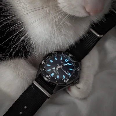 Corrny - Ależ świeci

#zegarki #zegarkiboners #koty #pokazkota