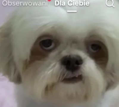 zyjZdotacji - @sokol_millennium: