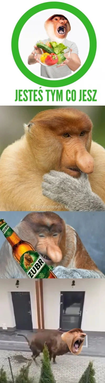 ryhu - #konkursnanajbardziejgownianymemznosaczem