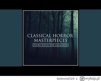 belmond324 - Op. 9, No.2 to chyba muzyczka z Pendolino (ʘ‿ʘ)
z Chopina to jak program...