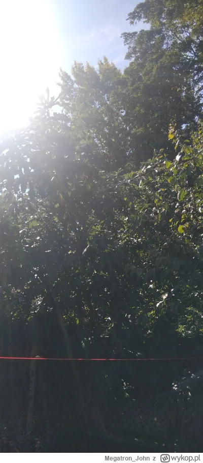 MegatronJohn - @Squirell no elo ( ͡º ͜ʖ͡º) w UK lampa jak...