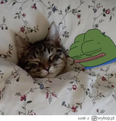 sxilll - 5mg melatoniny zażyte, ale będzie spanie
#przegryw