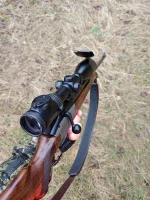 michorn - Darz Bór wykopowej społeczności! #myslistwo #hobby #pasja #natura