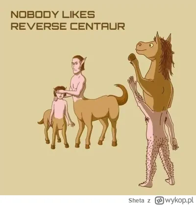 Sheta - #memy #smieszneobrazki #heheszki