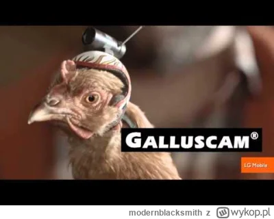 modernblacksmith - @volodia: @vidic15