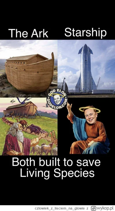 czlowiekzlisciemnaglowie - @9ada66a7ca8bf7e3