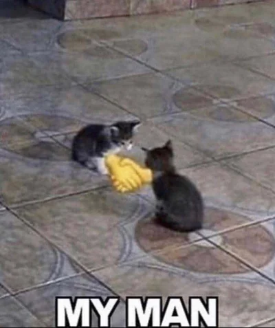 Czlowiek_Ludzki - @RobieZdrowaZupke super, gratuluję