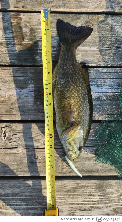 NarciarzFarciarz - Oj tak dziś wodne kasynko oddało ponownie, specjalnie wziąłem metr...