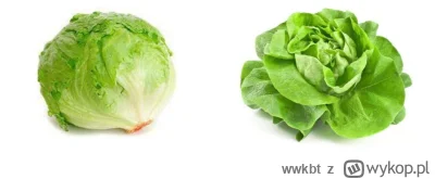 wwkbt - Bercik @robertkk koniecznie sprawdź czy w twojej lokalnej biedrze nie ma tych...