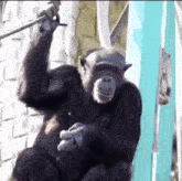 piSSowiec39 - @CzikaKiri: