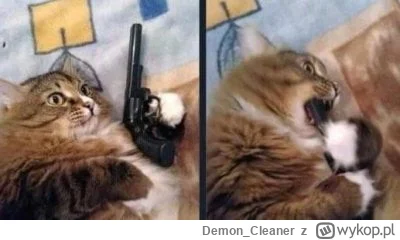 Demon_Cleaner - @SpoconyBambik