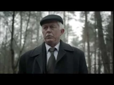 Sicoretti - Ja tu widzę typowy birdstrike.
Trust me, I'm an engineer.