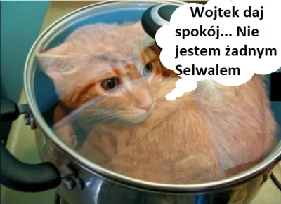 Kokodzambodzet - Wojtek na głodzie adoptował bezdomnego kitku ( ͡° ͜ʖ ͡°) 
#wojtekgol...