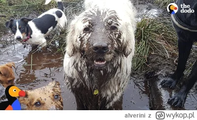 alverini - POV: Amanda wchodzi do łazenki i chce podnieść swoje wyselekcjonowane mydł...