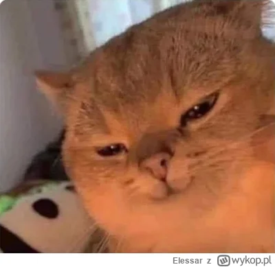 Elessar - 3/4 prezentów do #wykopaka zamówiona w 3 godziny od przeczytania opisu mire...