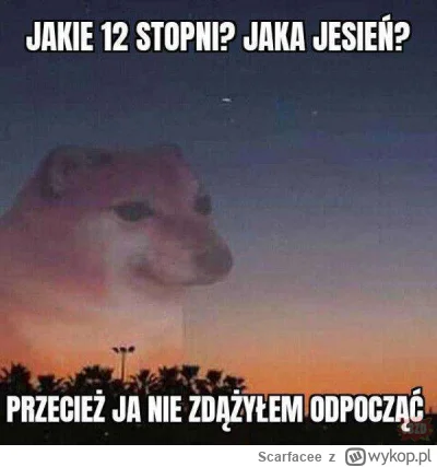 Scarfacee - #przegryw