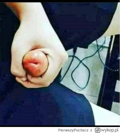 PierwszyPuchacz - Test 1