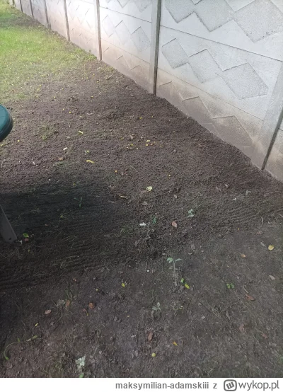 maksymilian-adamskiii - Pozagrabialem liście i ziemię! Dajcie plusa( ͡° ͜ʖ ͡°)
#lisci...