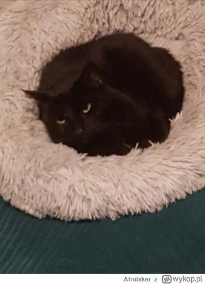 Afrobiker - @Afrobiker