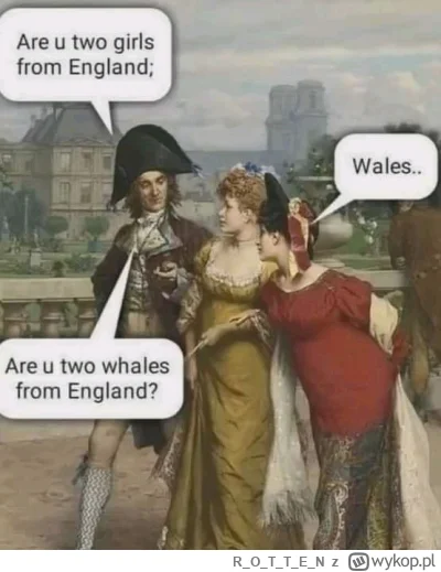 ROTTE_N - #heheszki #humorobrazkowy