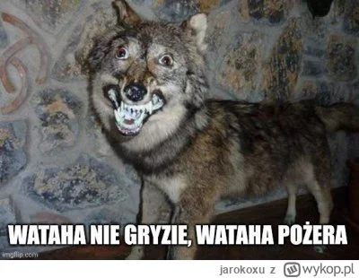 jarokoxu - @GoodGuyChucky93: