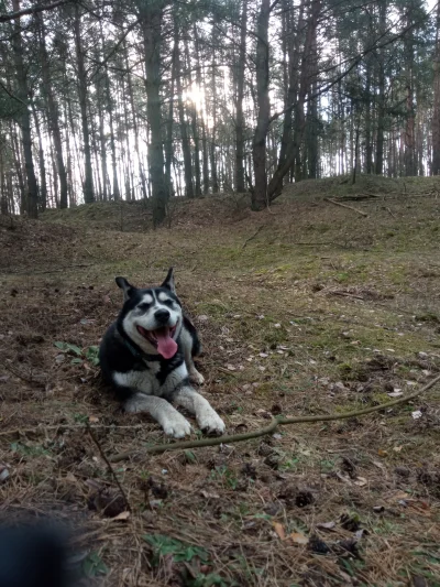 majes_mjs - @KRCZVSK bardzo ciekawy tekst kolego