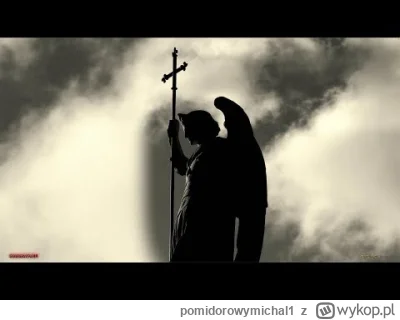 pomidorowymichal1 - #gielda