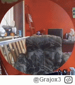 Grajox3 - @Neobychno: ??