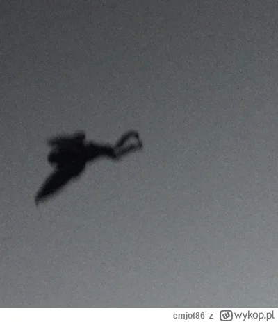 emjot86 - @Anhed: https://wchstv.com/news/local/man-photographs-creature-that-resembl...