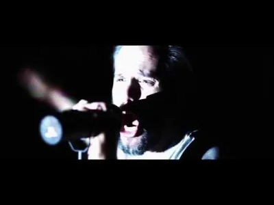 evolved - ! dobranoc