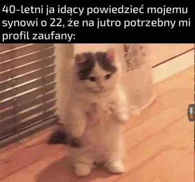 Phallusimpudicus - #heheszki