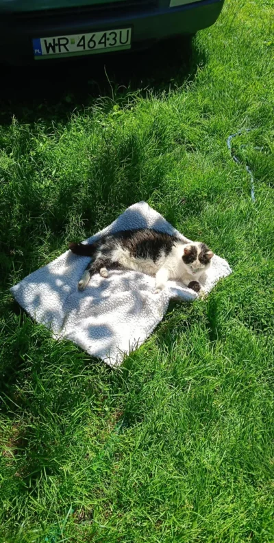 cornel9192 - @cornel9192: