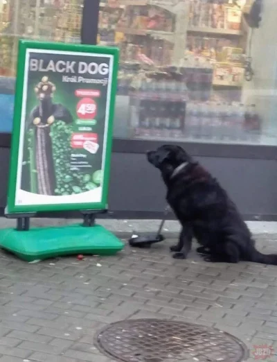 Jerry664 - @zdrajczyciel