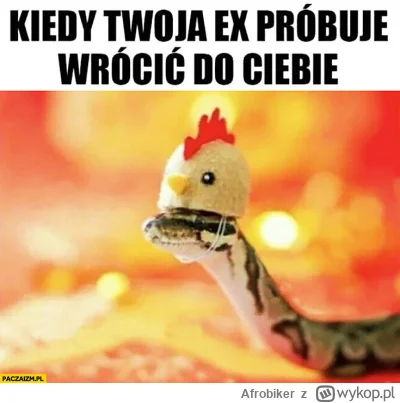 Afrobiker - #heheszki