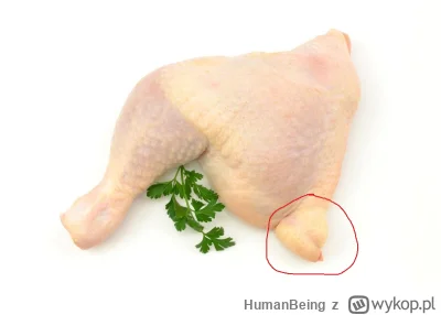 HumanBeing - Wycinacie tą część ćwiartki z kurczaka przed gotowaniem / pieczeniem? Ma...