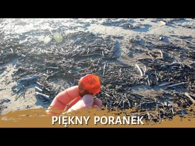 kglibow2 - @mam__pytanie: Może zbieranie bursztynu na Mierzei Wiślanej? Dobrze poczek...