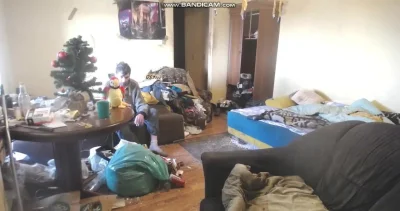 palalalala - dawaj kuwa strima i papuge
#danielmagical