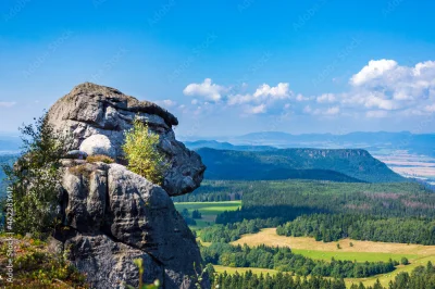 Ruchenstein-Boltzman - @randap_naturalny:  miałeś jedno zadanie