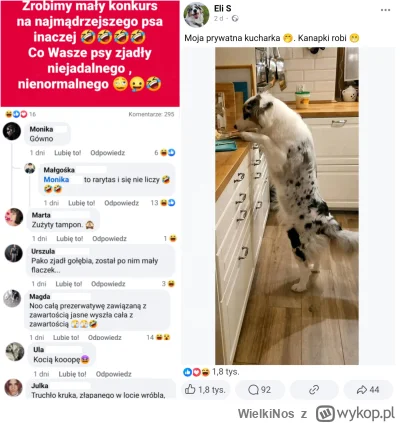 WielkiNos - @Milo900 spać w łóżku, wchodzić na blaty i stoły, jeść tą samą łyżką.