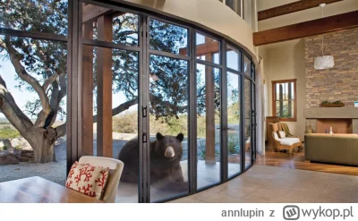 annlupin - ciekawe co tam uwas