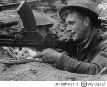 DrFaithless - #wojna #2wojnaswiatowa #wojsko #iiwojnaswiatowa #koty #katzenpfotchen