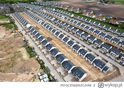 mrocznapszczola - Ostatnim czasem naszła mnie taka myśl dotycząca wszystkich tych pse...