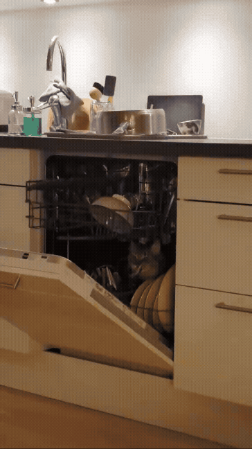 jestemtakizmeczony - @jestemtakizmeczony: zmywarka.