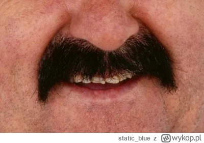 static_blue - @PtasiorI993: kocham ten wąs, ile ja się ich naszukałem to ło panie ( ͡...