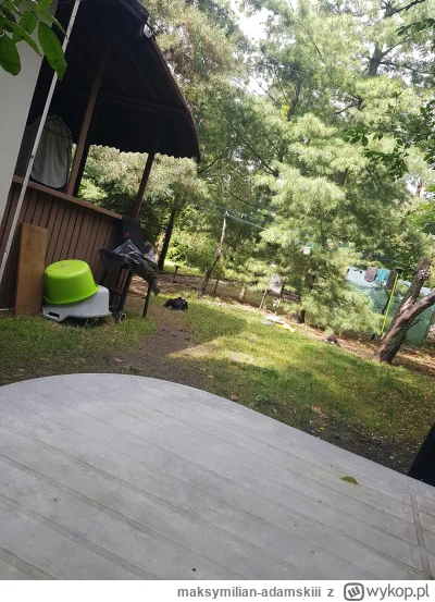 maksymilian-adamskiii - Już jest ładnie!!( ͡º ͜ʖ͡º)